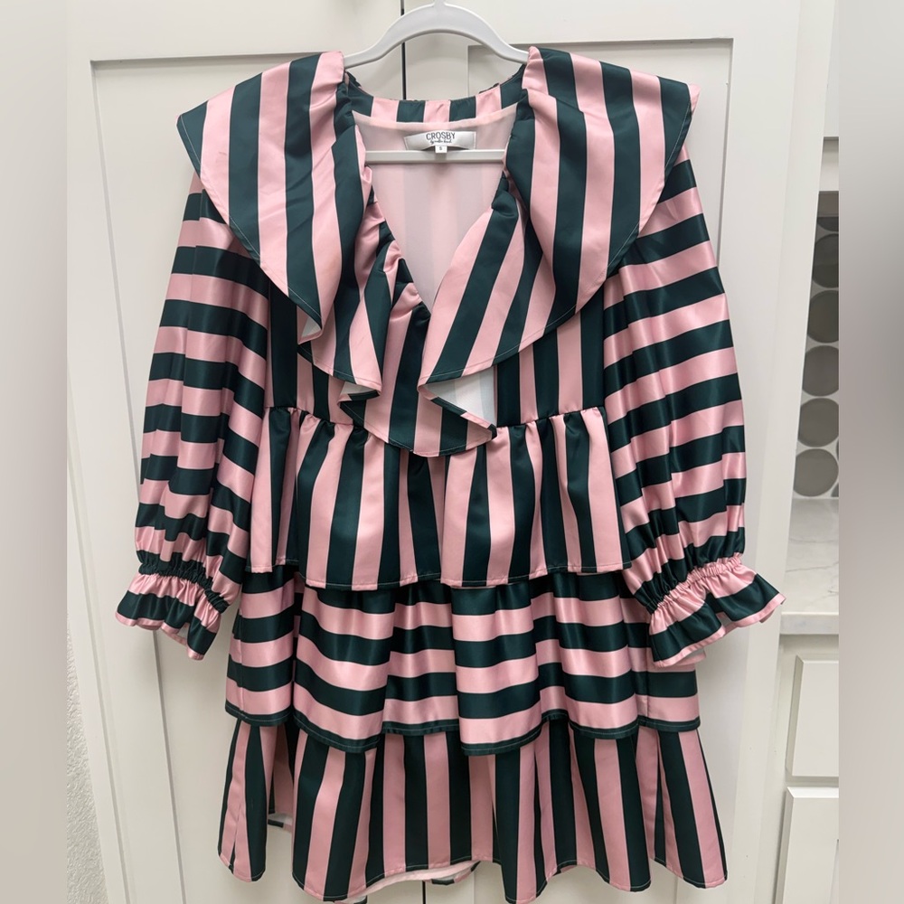 CROSBY by Mollie Burch Pink and Green Dress